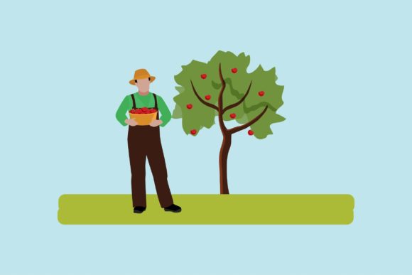 Flat Icon - Harvest Apples: Elevating Seasonal Design with Versatile Vector Assets